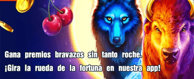 Tu suerte comienza aquí